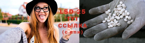 стафф Новый Уренгой