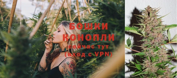 тгк Пересвет
