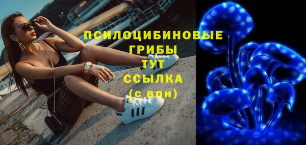 марки lsd Переславль-Залесский